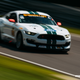 Illustration for article titled Crazy Fast Shelby Mustang GT350R-Cs Dominate Lime Rock
